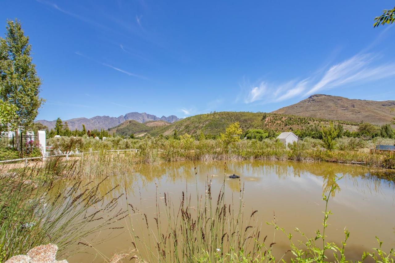 Droom Guesthouse Franschhoek Exterior photo