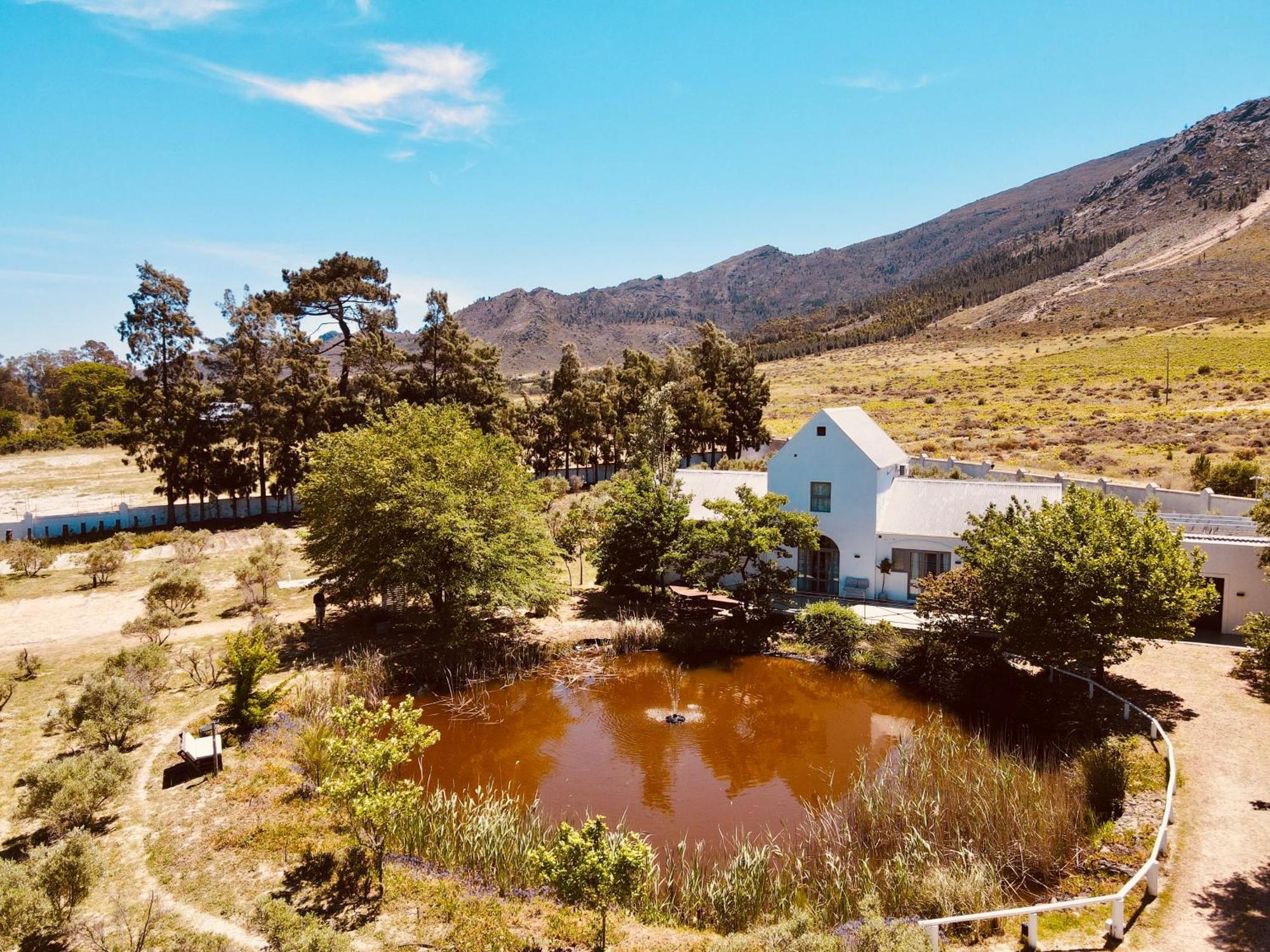 Droom Guesthouse Franschhoek Exterior photo